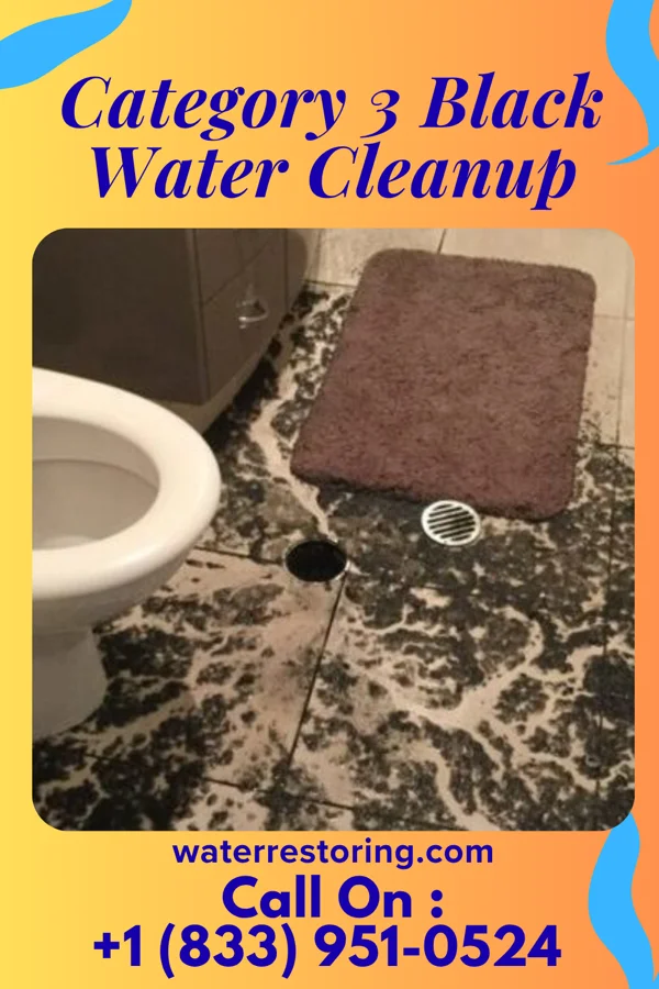Category 3 Black Water Cleanup in Columbus Grove, OH