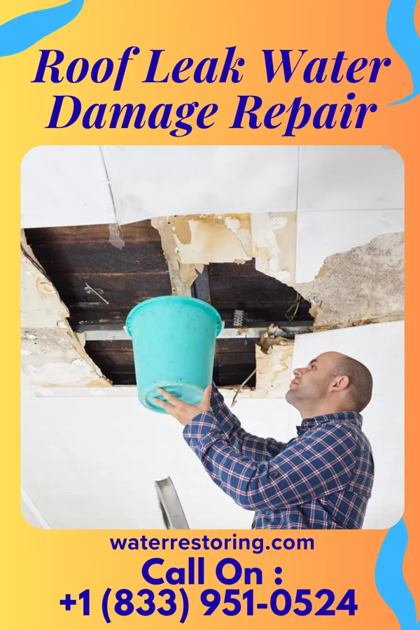 Roof Leak Water Damage Repair in Columbus Grove, OH